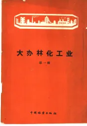 大办林化工业  第1辑