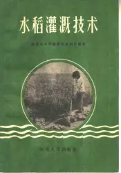 水稻灌溉技术