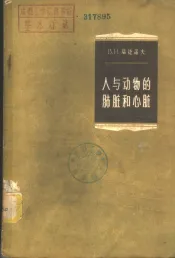 人与动物的肺脏和心脏
