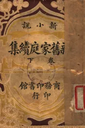 新旧家庭续集  下