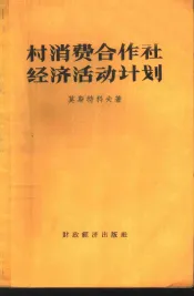 村消费合作社经济活动计划  收支预算
