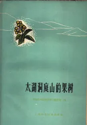 太湖洞庭山的果树