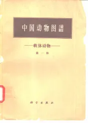 中国动物图谱  软体动物  第1册