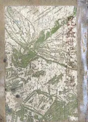 昆虫世界漫游记