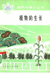 植物的生长