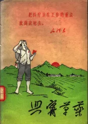 兴宁草药