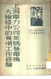 上海电力公司某号发电机大检修中的几项工作经验