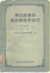 奥氏体钢的相分析及其组织
