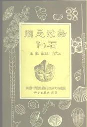 腕足动物化石
