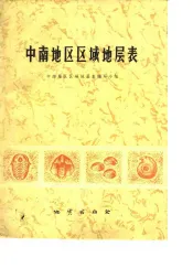 中南地区区域地层表