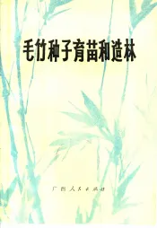 毛竹种子育苗和造林