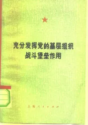 充分发挥党的基层组织战斗堡垒作用