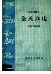 全民办电
