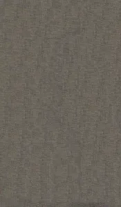 鲁迅全集  第2卷