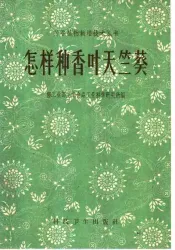 怎样种香叶天竺葵