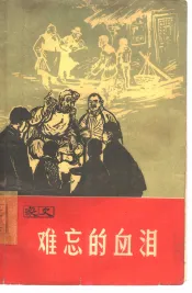 难忘的血泪  家史