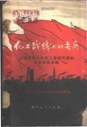 化工战线上的尖兵  全国群英大会化工系统代表的先进事迹选辑