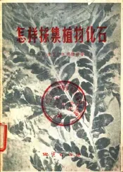 怎样采集植物化石