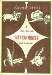 上海乳牛提高产奶量的经验