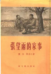 张望雨的家事  短篇小说选集