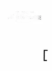 王老太火葬日本兵