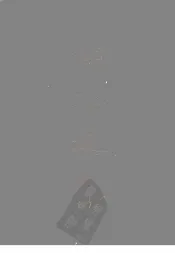 湖北通志  二