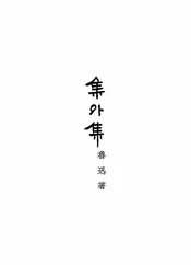 集外集
