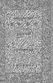 植物图谱  下册