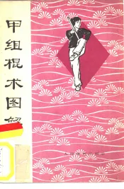 甲组棍术图解  武术竞赛规定套路