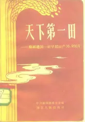 天下第一田  麻城建国一社早稻亩产36，956斤