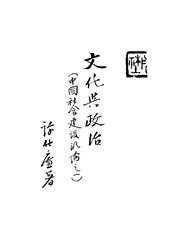 文化与政治