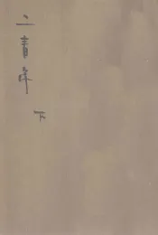 二青年  教育小说  下