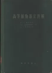 高等植物器官图解