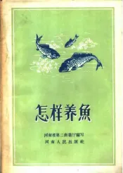 怎样养鱼