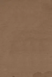 湖南通志  1