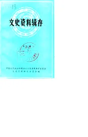 文史资料辑存  第3辑