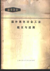 国外黑色冶金工业概况与进展