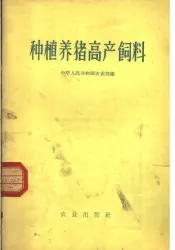 种植养猪高产饲料