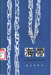 海带