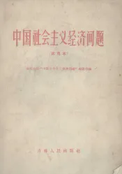 中国社会主义经济问题  试用本  提要
