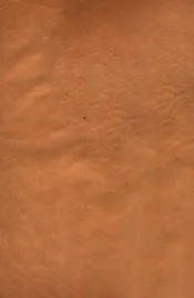 宋大家苏文忠公文钞  卷25-26