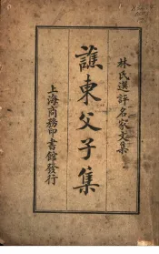 林氏选评名家文集  谯东父子集