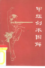 甲组剑术图解  武术竞赛规定套路