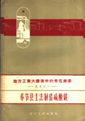 奉节县土法制造硫酸铵