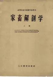 家畜解剖学  上