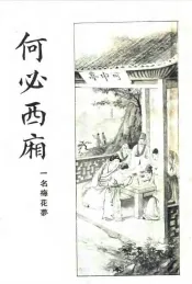 何必西厢  第3册