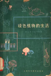 绿色植物的生活