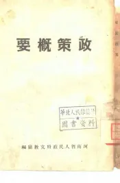政策概要