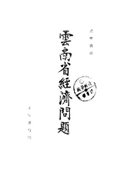 云南省经济问题