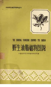 野生油脂植物图说